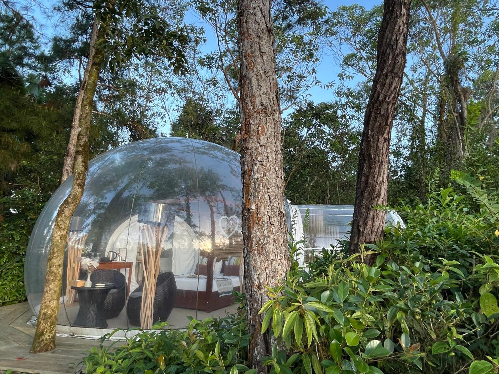 Bubble Lodge Bois Cheri Plantation Exteriör bild